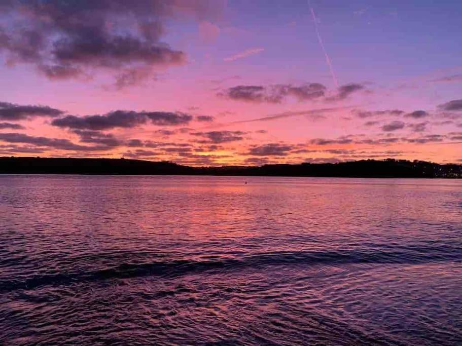 The Bird House - Coastal Lodge In Lovely Forest Setting Nr. Kinsale Cork Luaran gambar