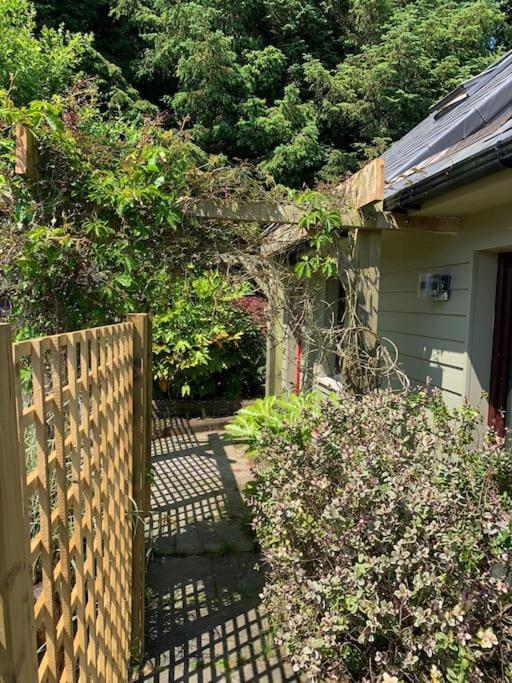 The Bird House - Coastal Lodge In Lovely Forest Setting Nr. Kinsale Cork Luaran gambar